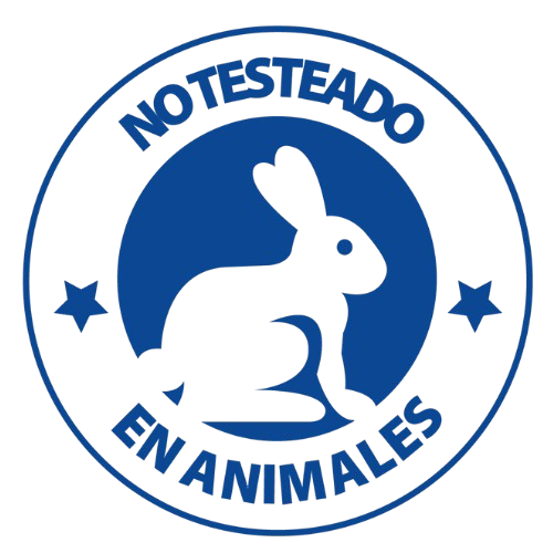 Certificación 2